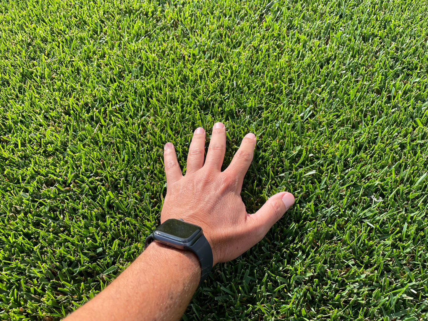 GAZON EN ROULEAU BORDEAUX 33 GIRONDE IDGREEN PELOUSE A DÉROULER IDGREEN